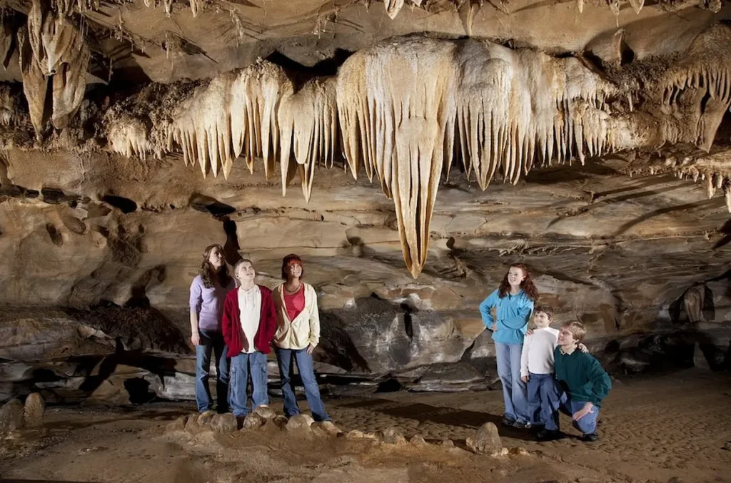 At the elephant head