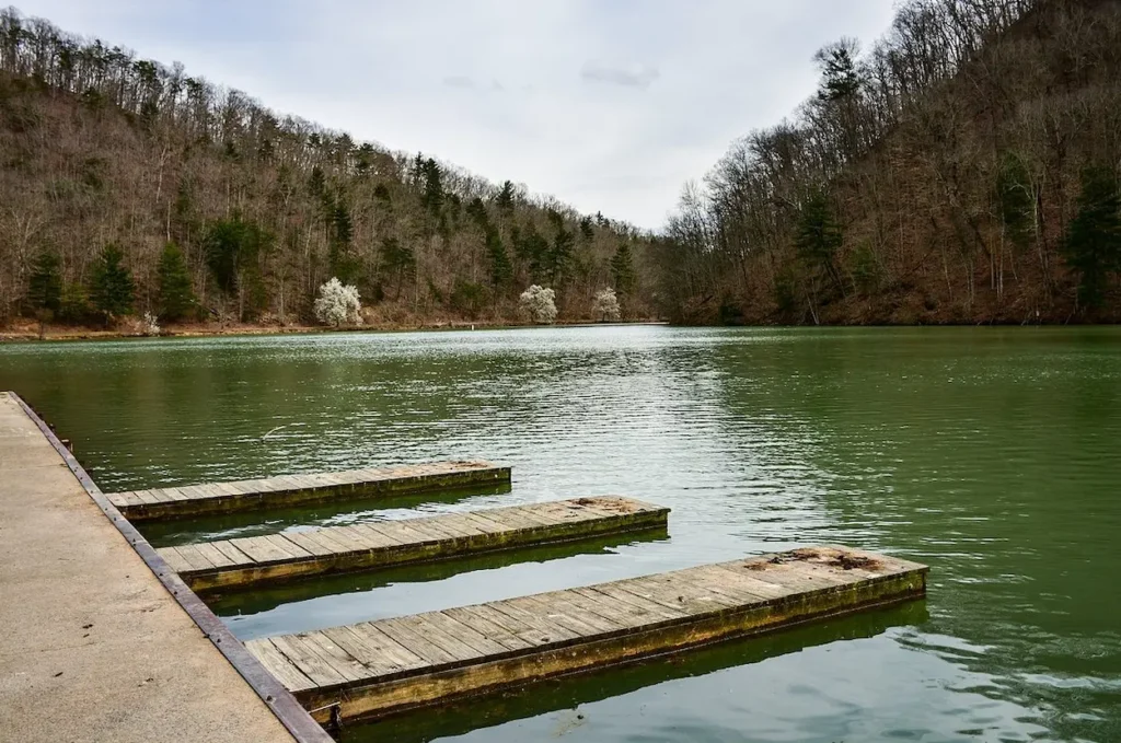 Scenic view of Steele Creek Park
