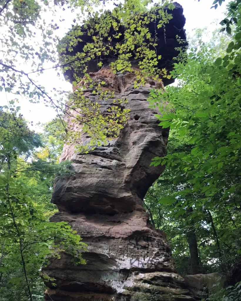 The Jug Rock sandstone