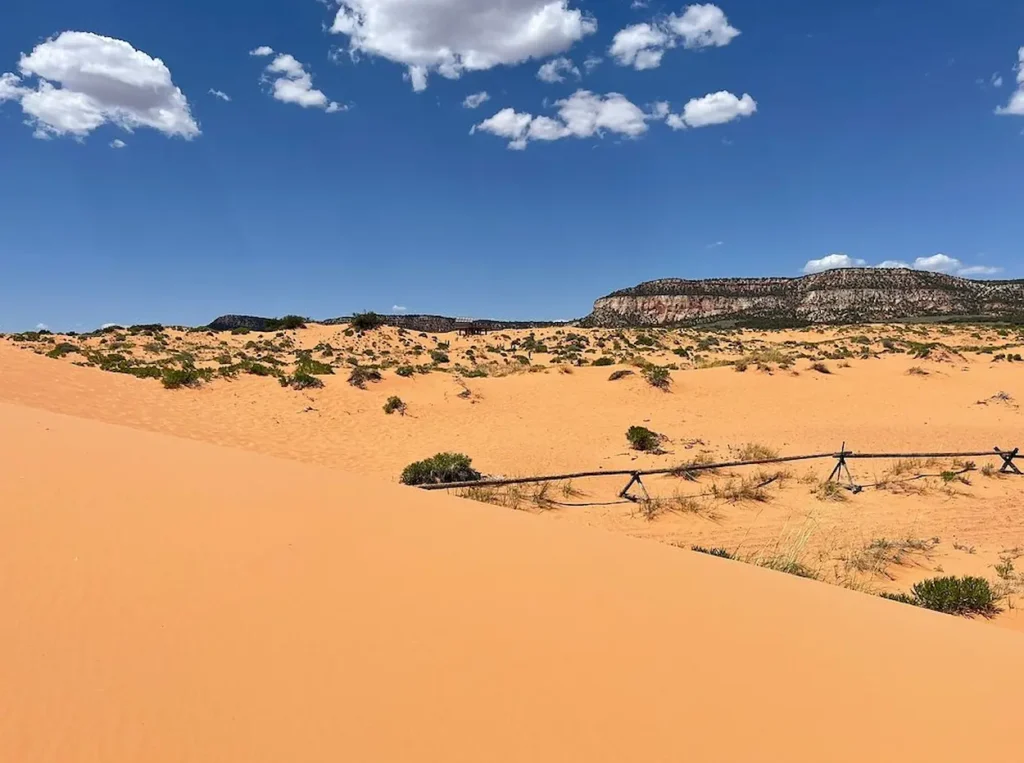 Coral Pink Sand Dunes State Park, Utah