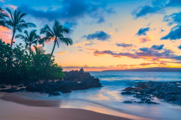 12 Amazingly Tropical Places in the USA to Visit in 2026