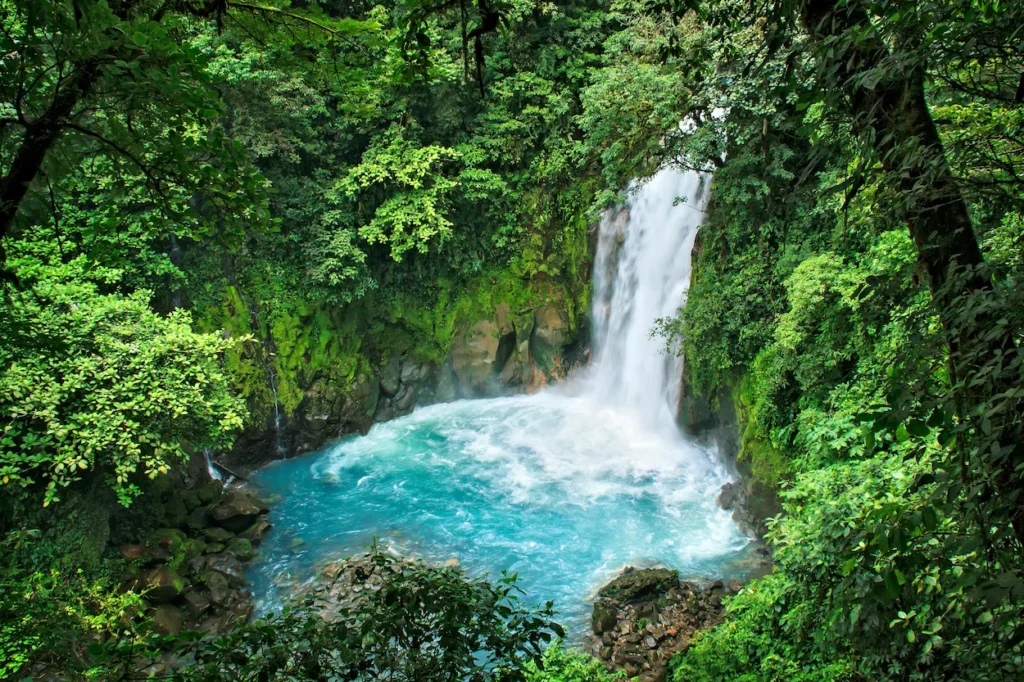 The Rio Celeste waterfall pouring into a bright blue volcanic pool surrounded by lush green jungle