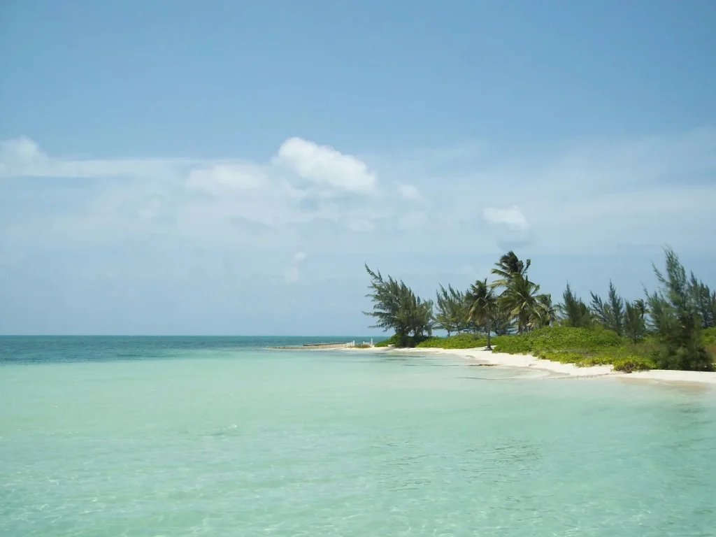 Tropical sandy beach with palm trees and clear turquoise ocean water