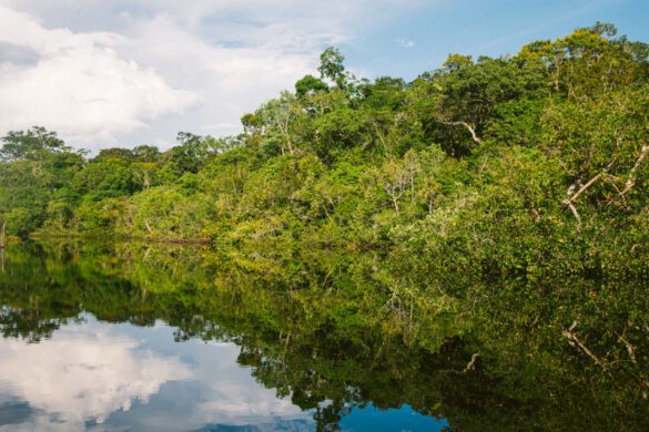 12 Best Things to Do in Brazil in 2026 (Amazon to Noronha) - Global ...