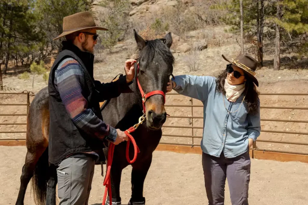 Learn from rescue mustangs on a mountaintop ranch