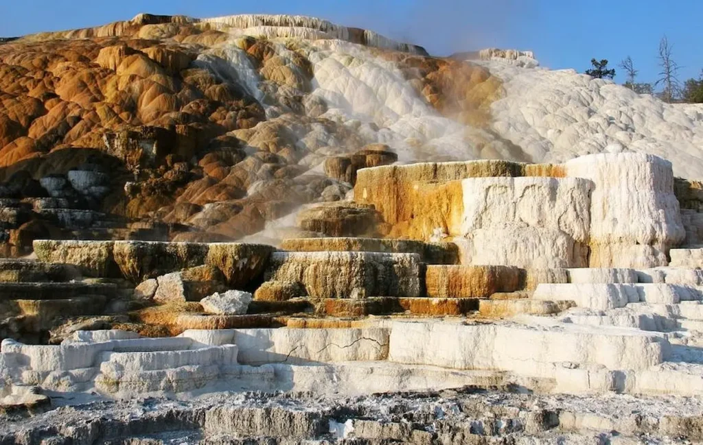 Mammoth Hot Springs