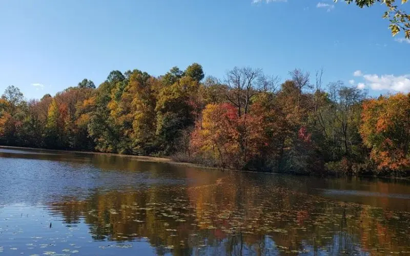 Autumn trees reflecting on the lake at Davidson’s Mill Pond Park.