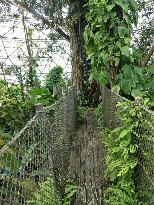 Randers Tropical Zoo in Denmark with rainforest walkway.