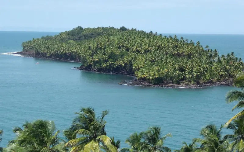 French Guiana shows a lush palm-covered island in the ocean.