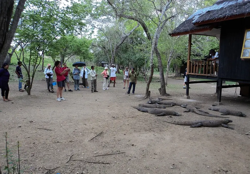 Komodo National Park