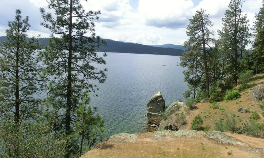 A peaceful view of Coeur d'Alene Lake from Tubbs Hill framed by pine trees and rocky cliffs.