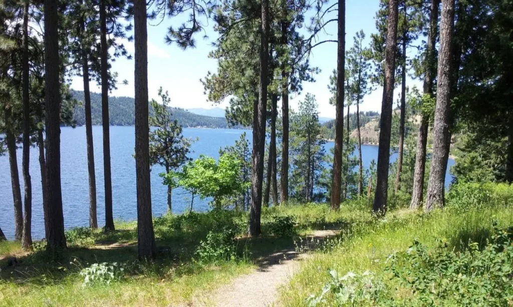 A shaded path on Centennial Trail overlooking the blue waters of Coeur d'Alene Lake.