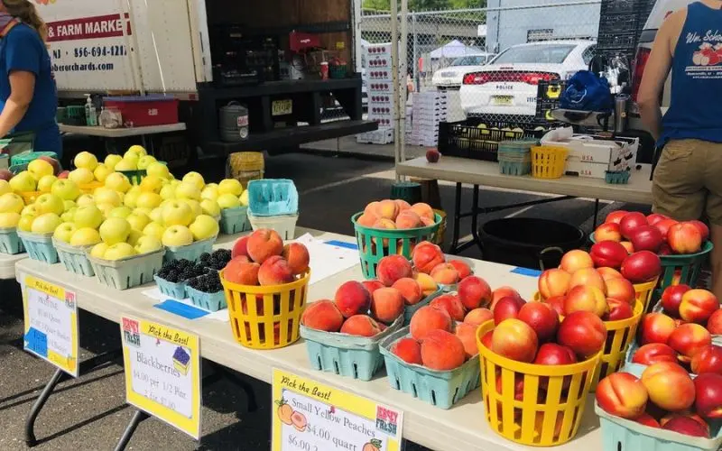 Fresh fruit displayed in baskets at Collingswood Farmers’ Market.