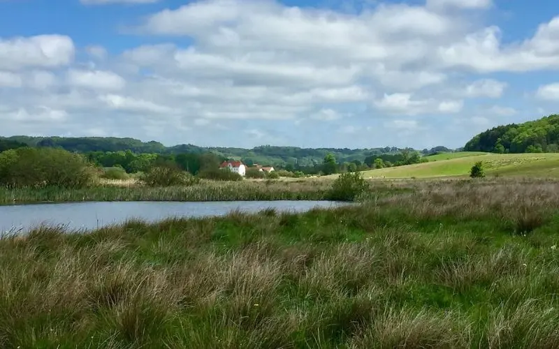 Vejle, Denmark countryside with rolling hills and lake.