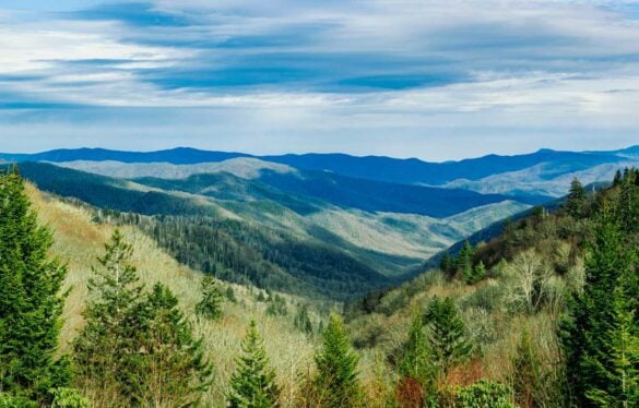 Best Places to Live in Tennessee Mountains Featured Image