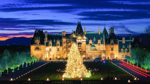 Best Things to Do in Asheville at Night