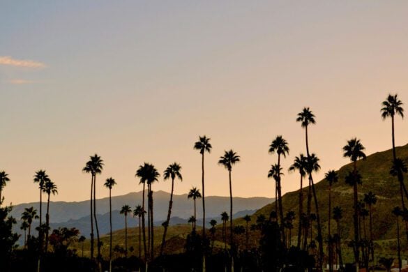 12 UNMISSABLE Things to Do in Palm Springs at Night (2025)