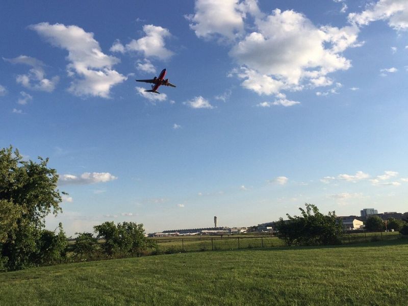 Gravelly Point Park is beloved by locals and visitors alike, offering an ideal setting for daytime excursions or evening gatherings.