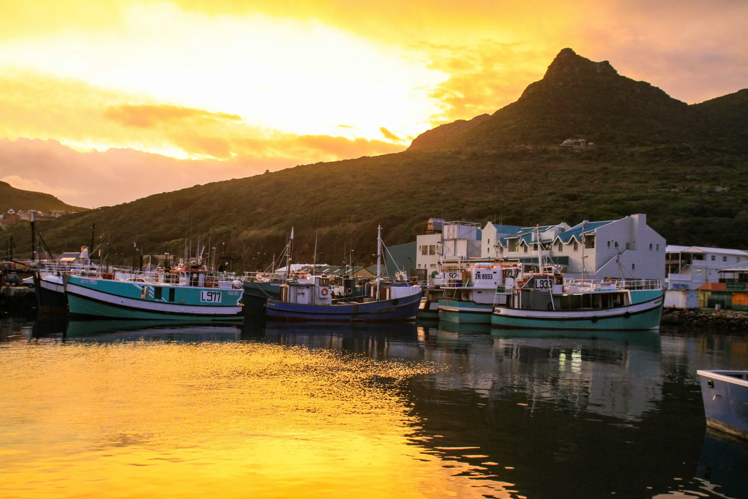 Hout Bay harbor at golden hour sunset with fishing boats moored in Cape Town, popular catamaran cruise departure point