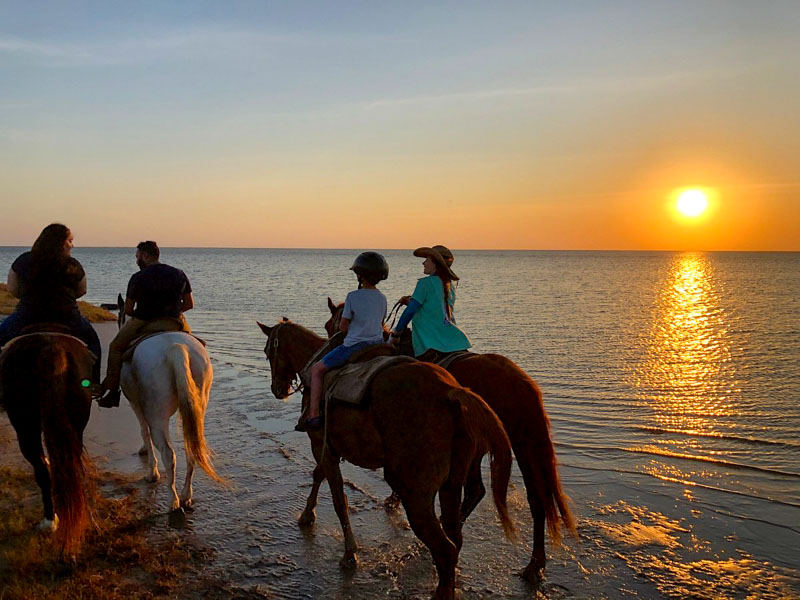 Join a starlight Safari at Island Adventure Park, an astronomer's dream for stargazing enthusiasts and romantic souls alike.