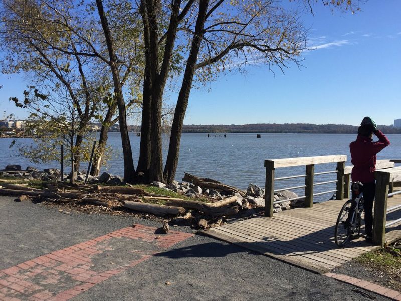 Embark on an adventure along the Mount Vernon Trail, a cyclist's dream with scenic views stretching along the Potomac River.