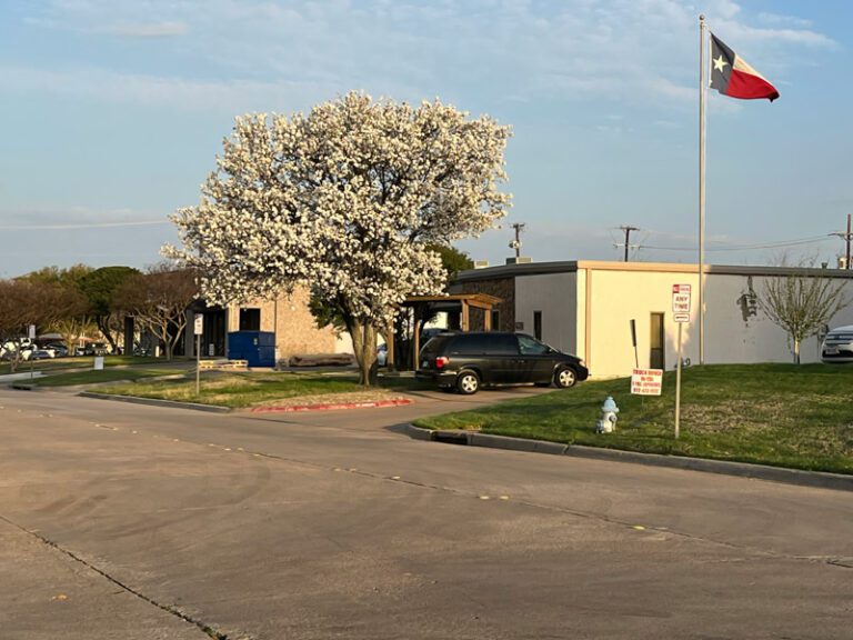 12 Livable Destinations in North Texas So Beautiful, They Feel Like a ...