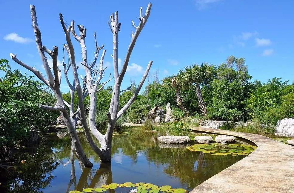 Eleuthera