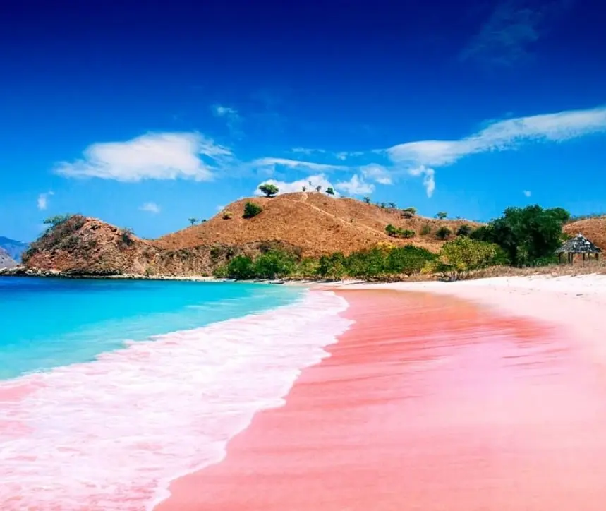 Pink Beach