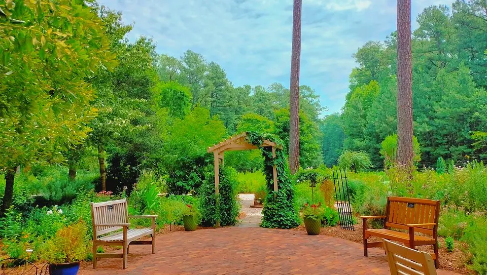 Freedom Park