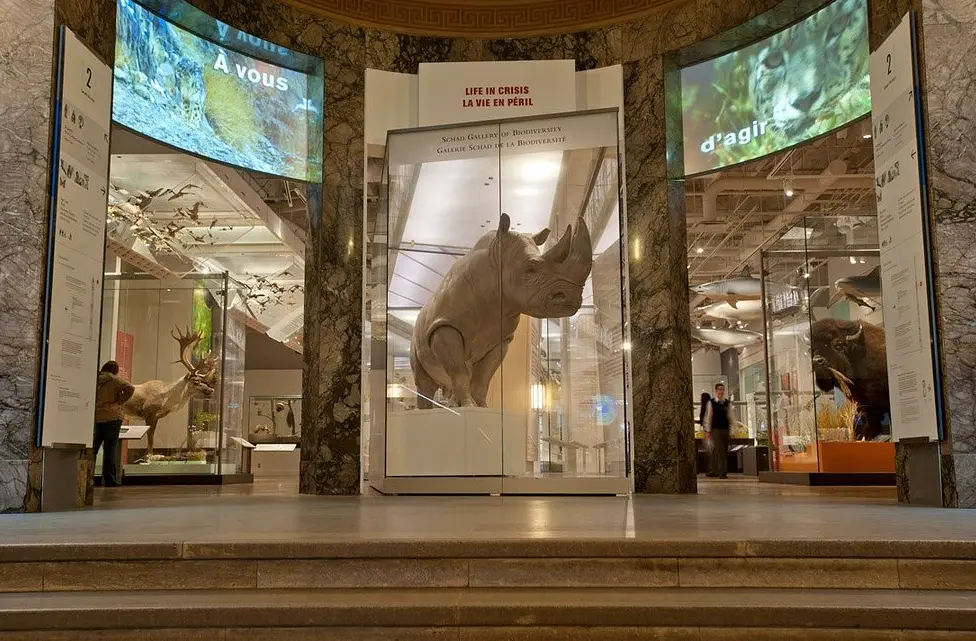 Royal Ontario Museum