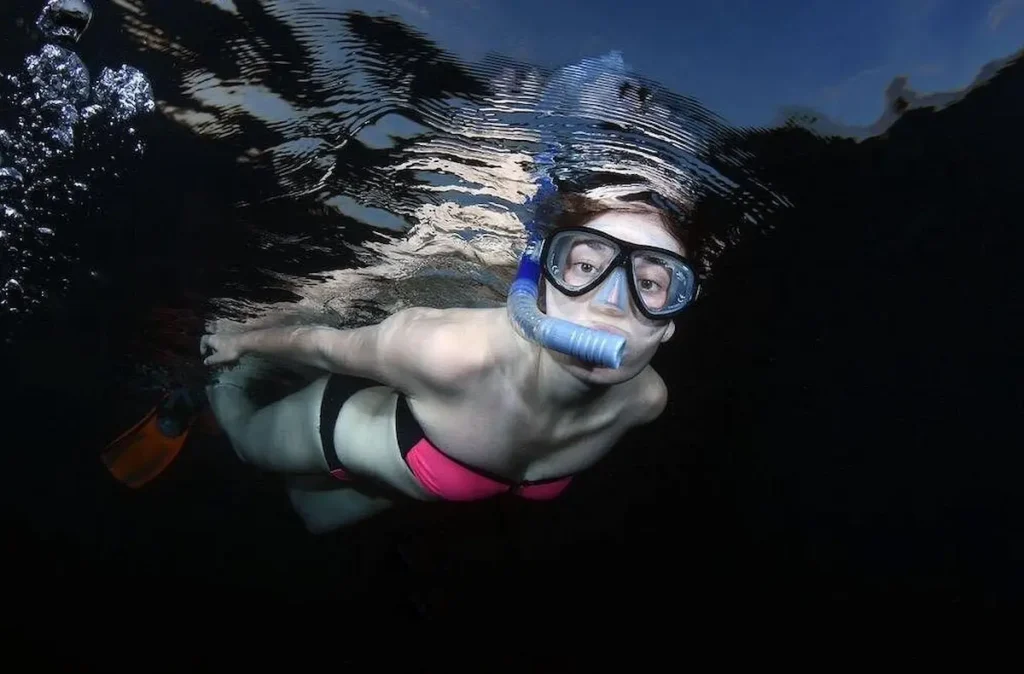 Night time Guided Snorkel tour