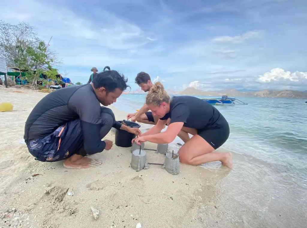 Komodo Conservation Tour