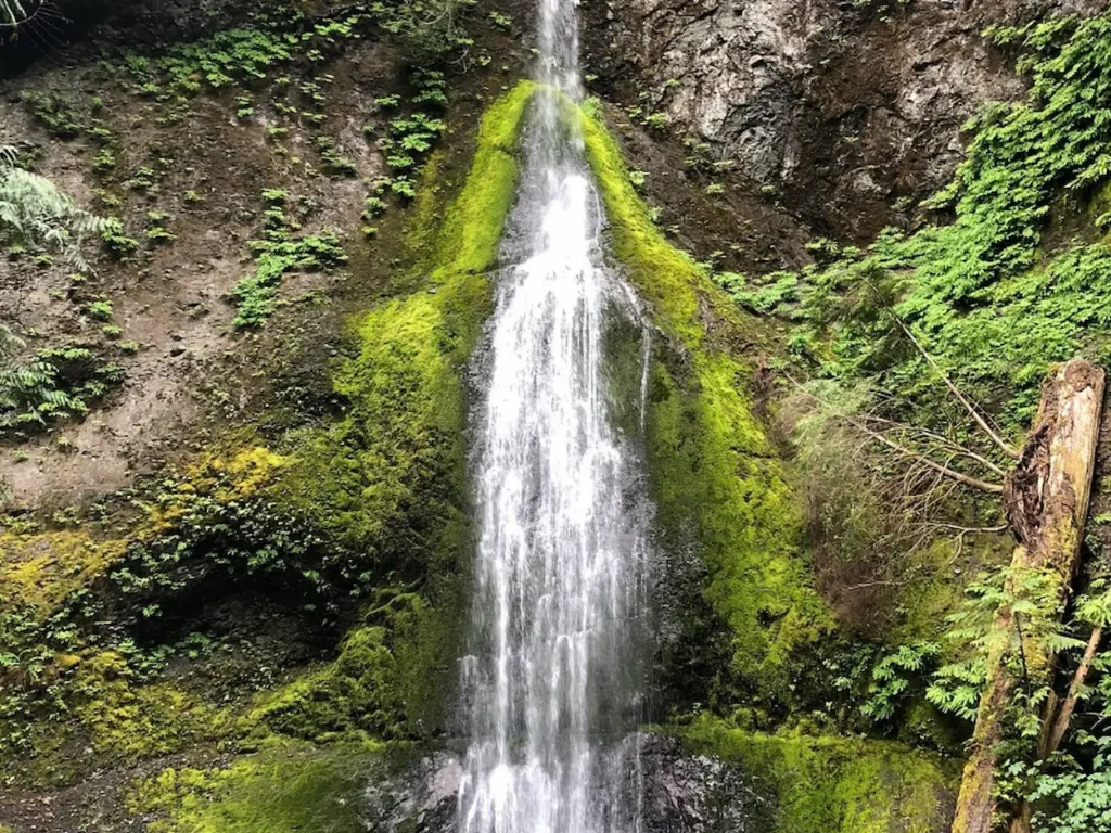 Waterfalls at Olympic National Park, Washington