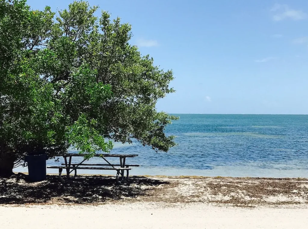 Shoreline at Historic Virginia Key Beach Park