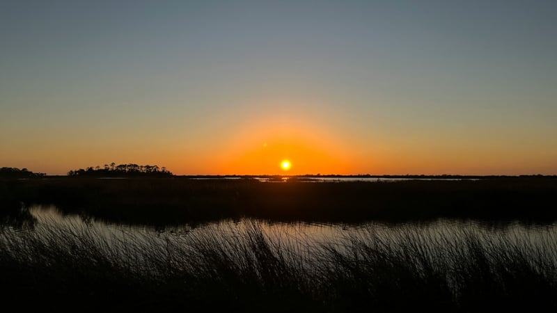 The greatest place to reside on Florida's Gulf Coast is Tallahassee, where fresh discoveries are made every day.