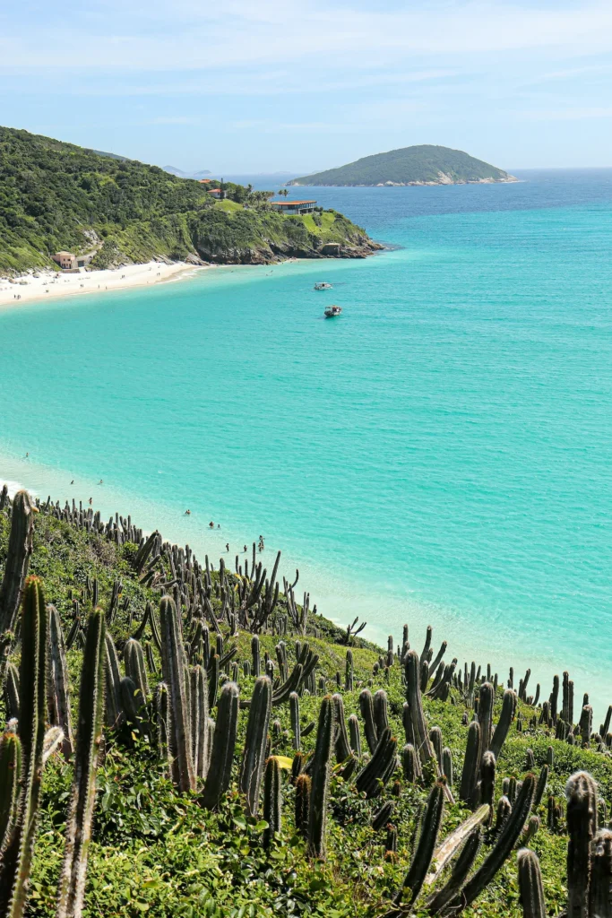 Cactus-covered hillside overlooking the clear turquoise water and white sand beach of As Prainhas do Pontal do Atalaia