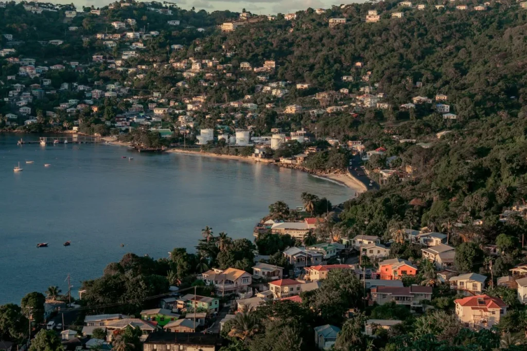 Aerial view of houses on a lush hillside overlooking a coastal bay in Bequia