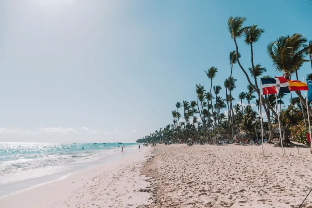 Palm trees lining a white sand beach next to turquoise ocean water under a sunny sky