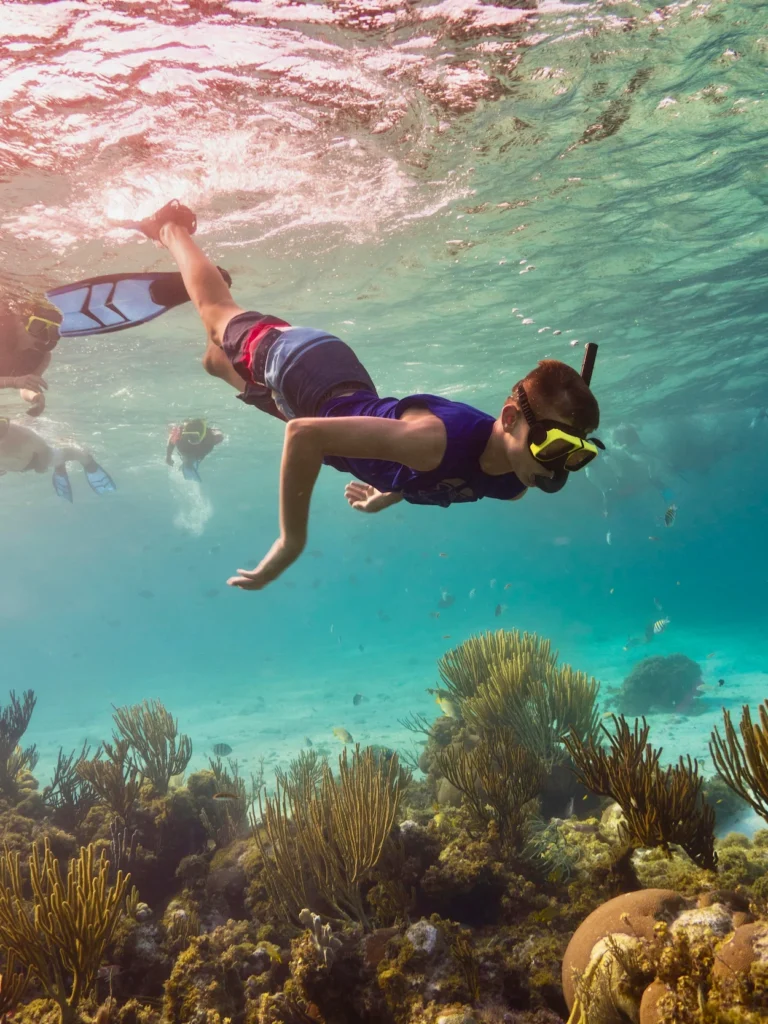 A young boy wearing a snorkel mask and fins swims underwater over a coral reef