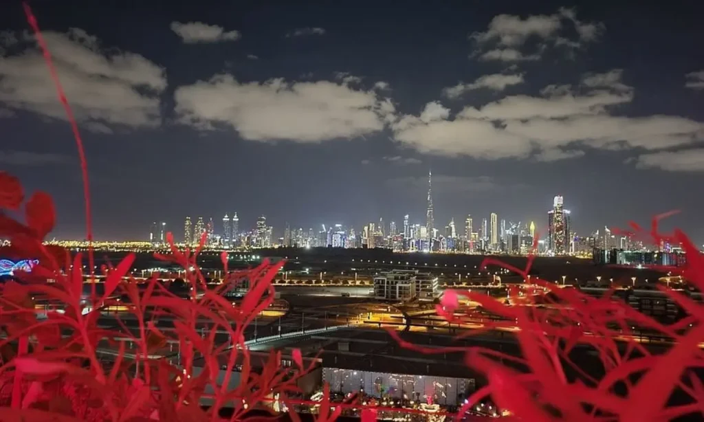 A night view of White Dubai showing the brightly lit city skyline with plants in the foreground.