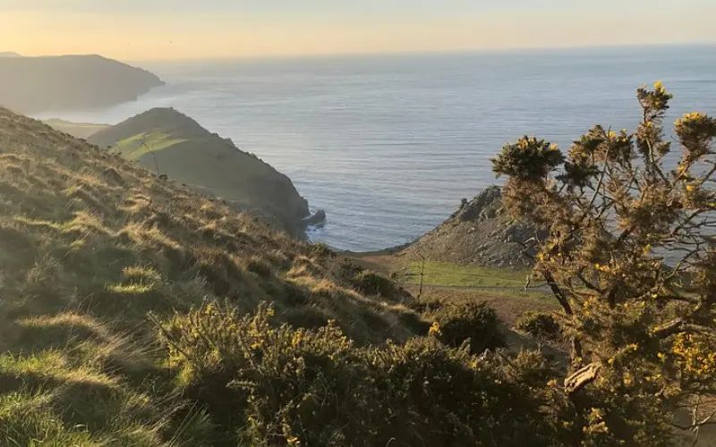 Coastal hills and sea views at Exmoor National Park.