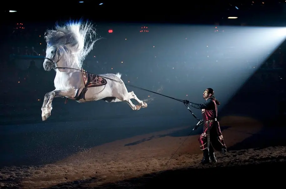 Medieval Times Dinner & Tournament