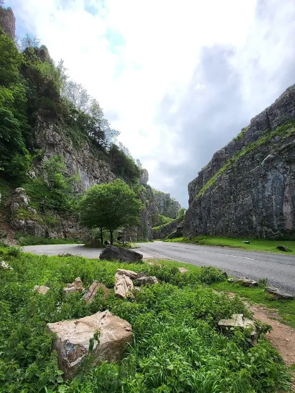 Road winding between tall limestone cliffs at Cheddar Gorge.