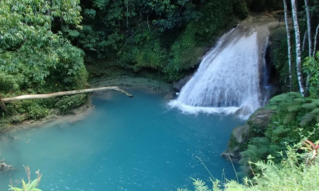 A small waterfall cascading into a blue pool surrounded by lush greenery in Ocho Rios.
