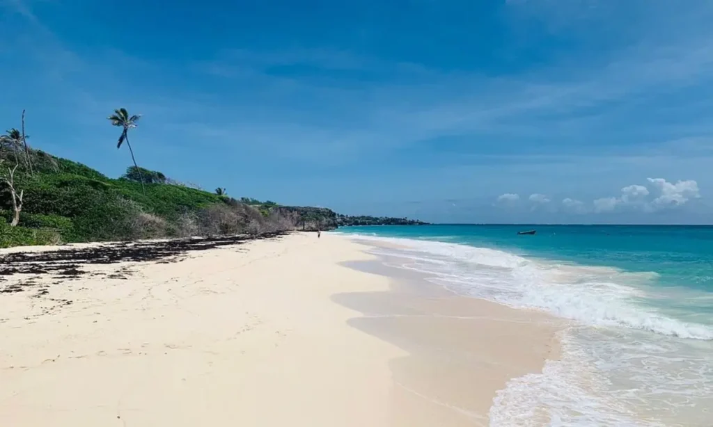 A peaceful sandy beach with turquoise water and palm trees in Barbados.