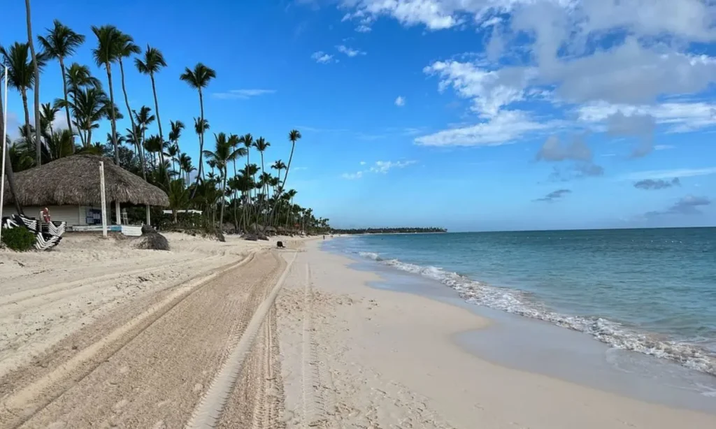 A quiet beach in Punta Cana with palm trees and blue sky.