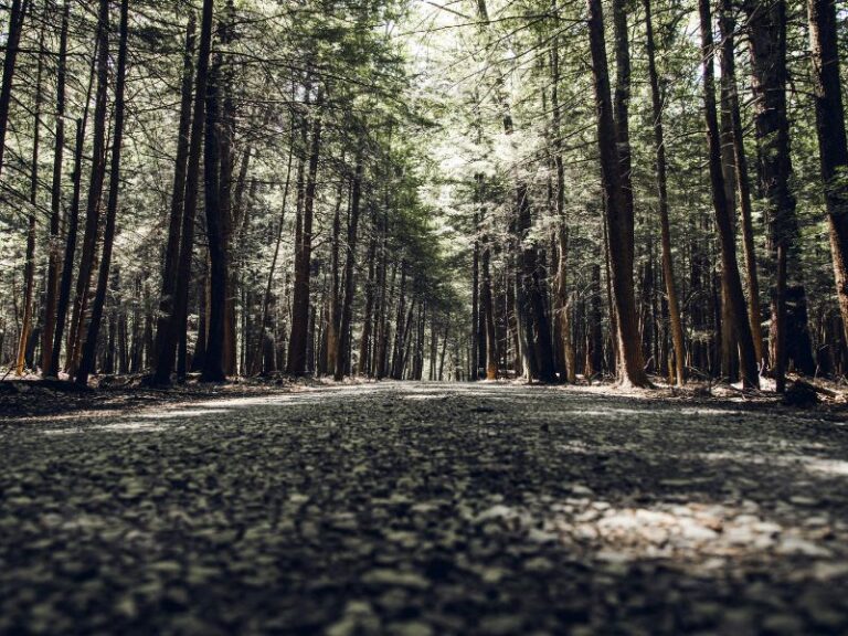 12 Stunning Hidden Gems in Pennsylvania That Will Leave You Speechless