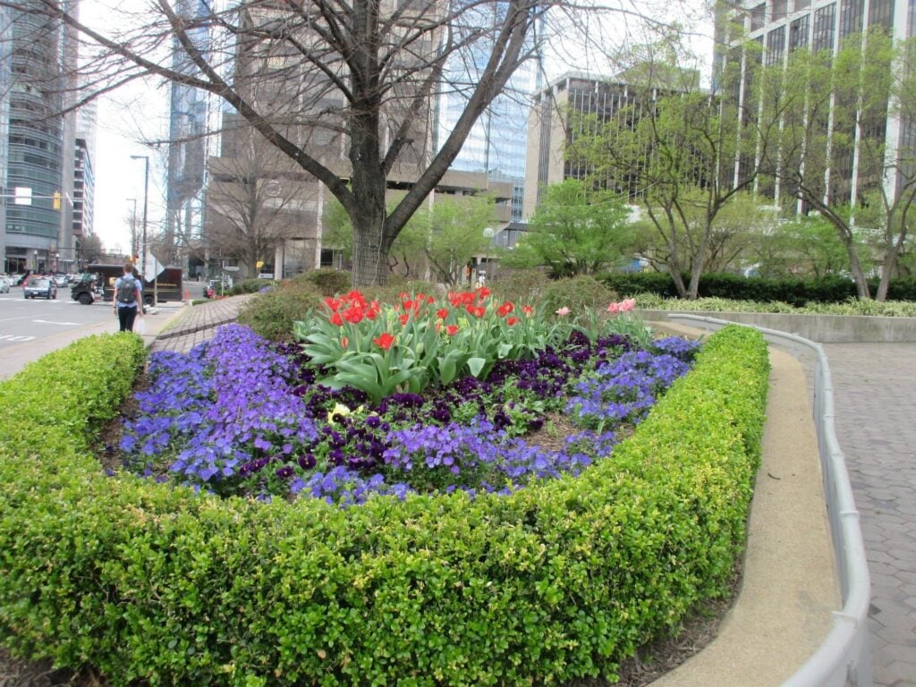 Colorful flower bed at Gateway Park in the city.
