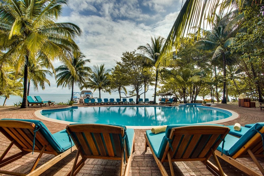 Poolside view at Hamanasi Adventure and Dive Resort with lounge chairs and palm trees by the ocean.