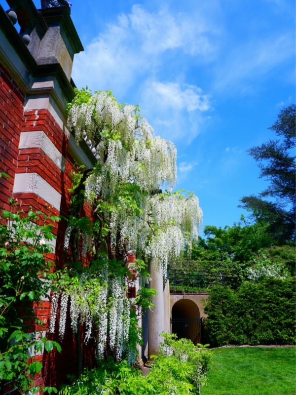 Old Westbury Gardens is a must-visit destination where history comes alive amidst breathtaking natural beauty.